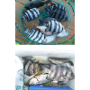 섬네일