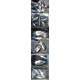 thumb nail
